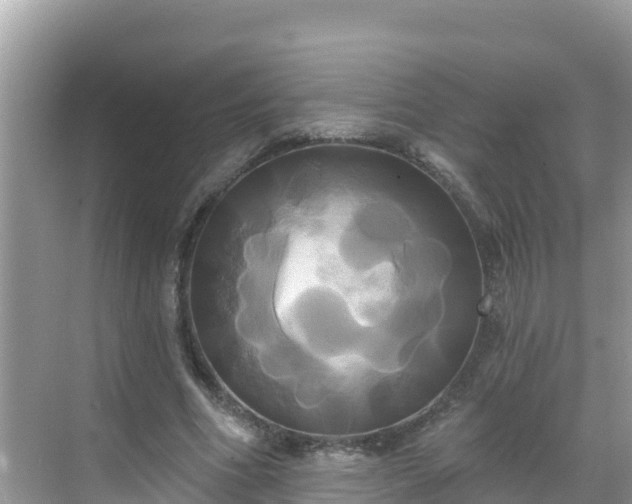 X0000068770586200605051634