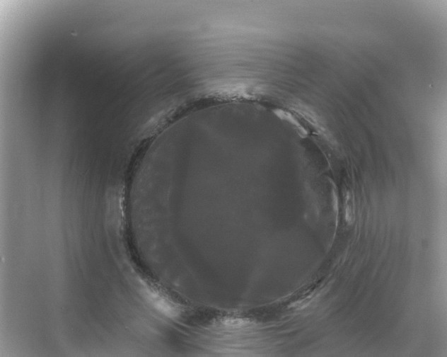 X0000068770590200605051634