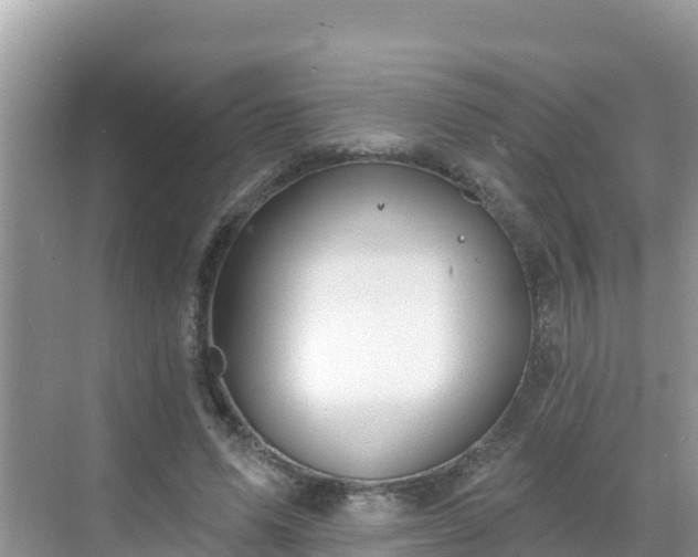 X0000068770591200605051634