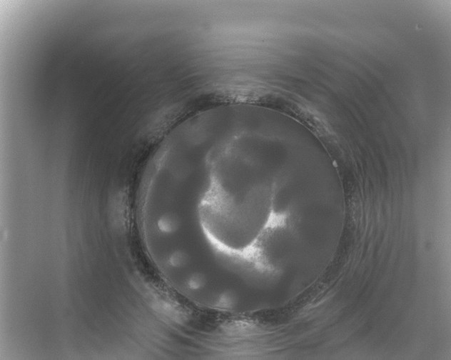 X0000068770594200605051634