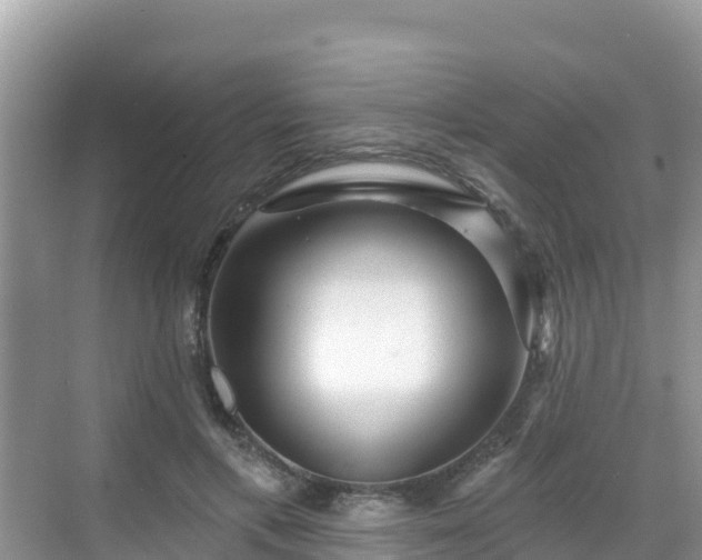 X0000068770597200605051633