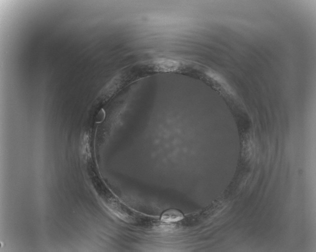 X0000068770598200605051633