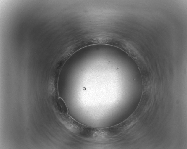 X0000068770599200605051633