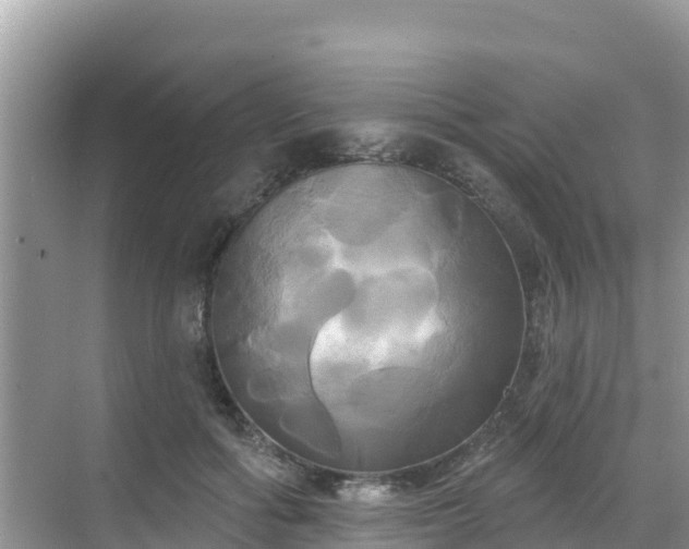 X0000068770602200605051633