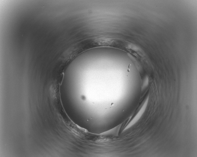 X0000068770604200605051633