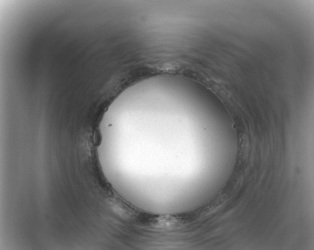 X0000068770612200605051633