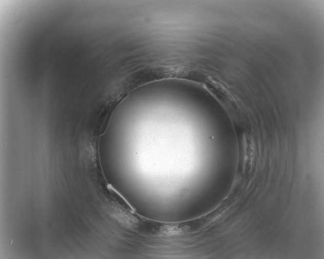 X0000068770613200605051633