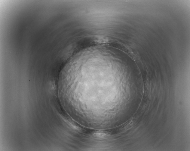 X0000068770614200605051633