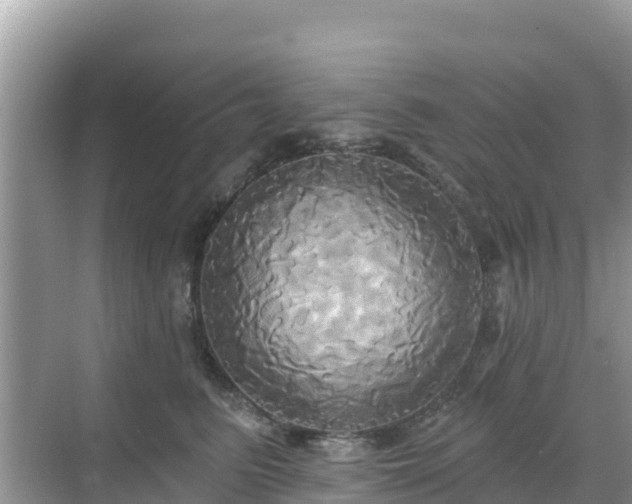 X0000068770615200605051633