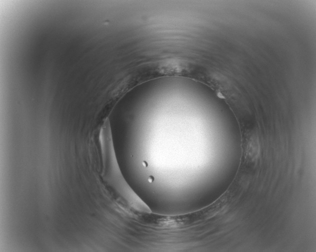 X0000068770616200605051633