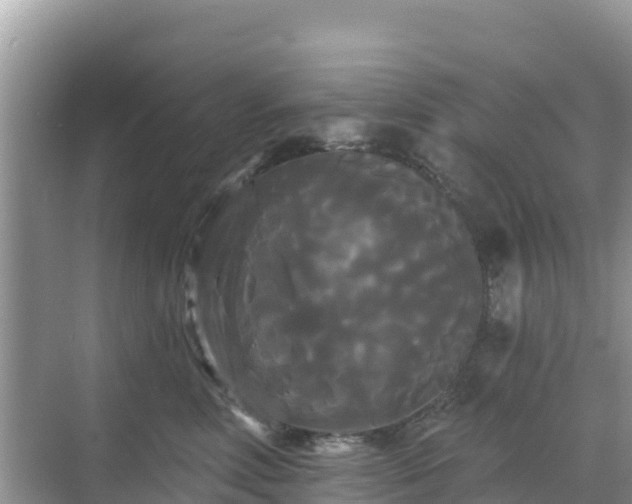 X0000068770618200605051633