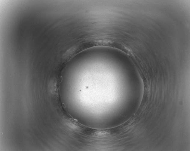 X0000068770619200605051633