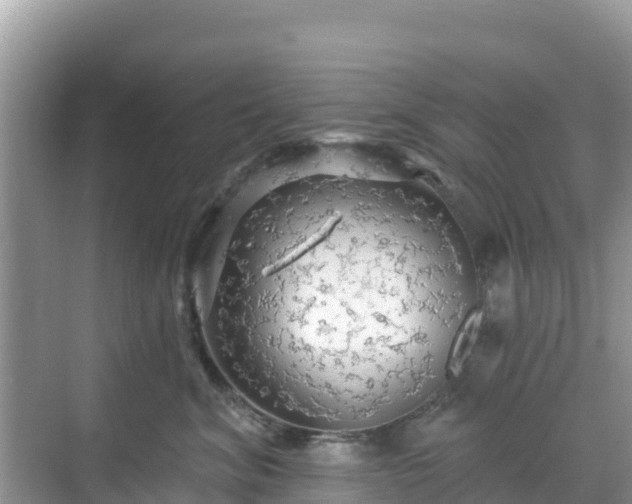 X0000068770620200605051633