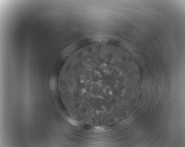 X0000068770623200605051633