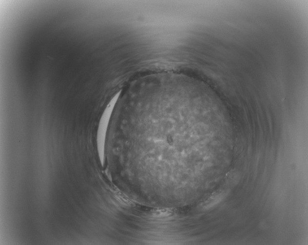 X0000068770624200605051633