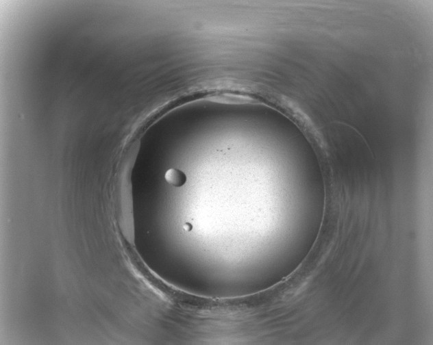 X0000068770625200605051632