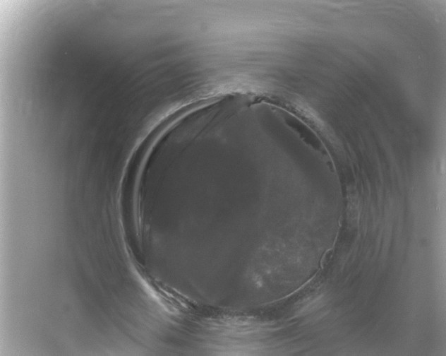 X0000068770626200605051632