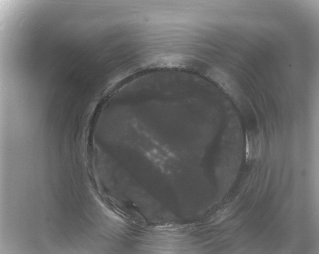 X0000068770627200605051632