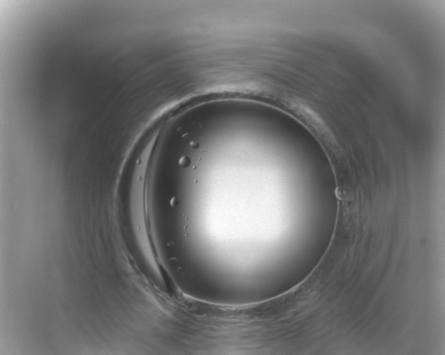 X0000068770628200605051632