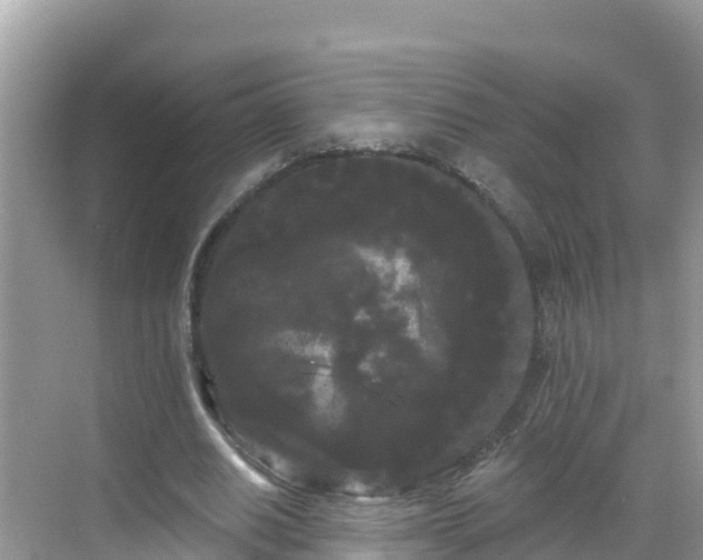 X0000068770630200605051632