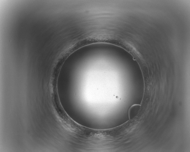 X0000068770635200605051632