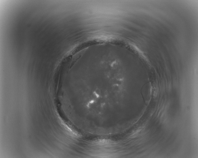 X0000068770637200605051632