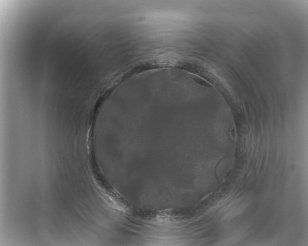 X0000068770641200605051632