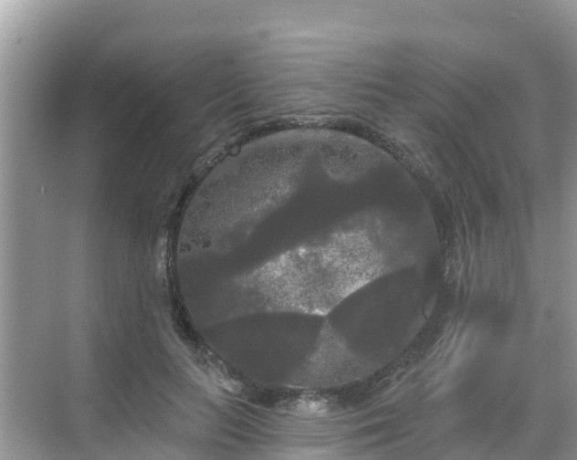 X0000068770647200605051633