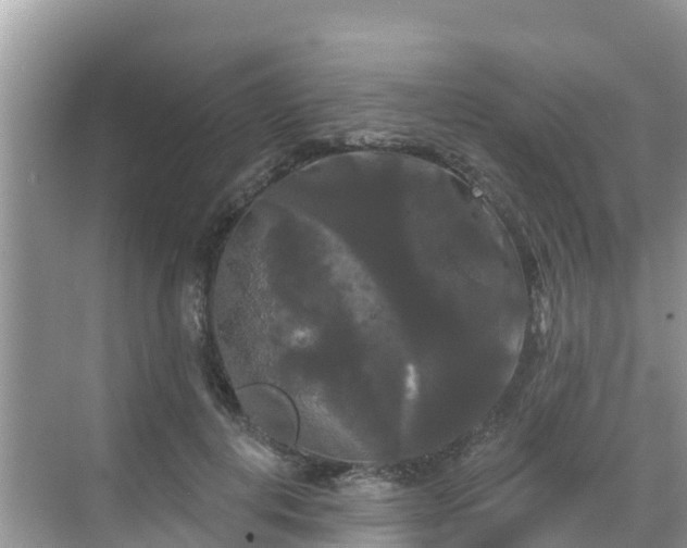 X0000068770648200605051633