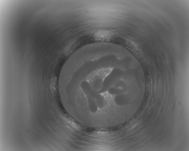 X0000068770649200605051633