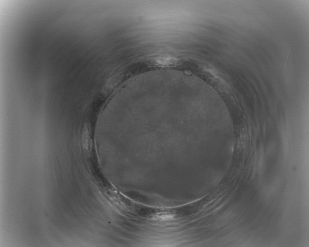 X0000068770651200605051633