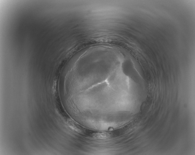 X0000068770652200605051633