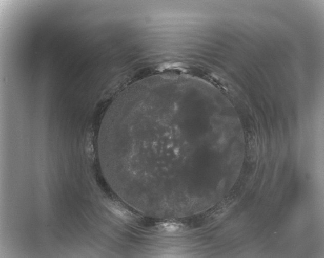 X0000068770654200605051633