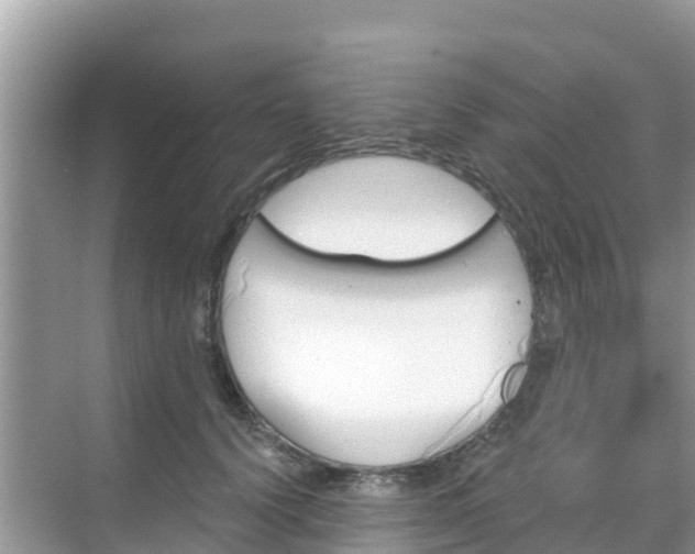 X0000068770656200605051633