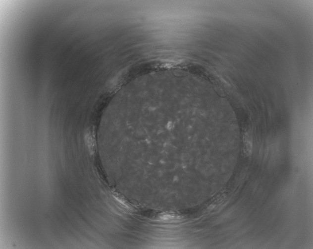 X0000068770657200605051633