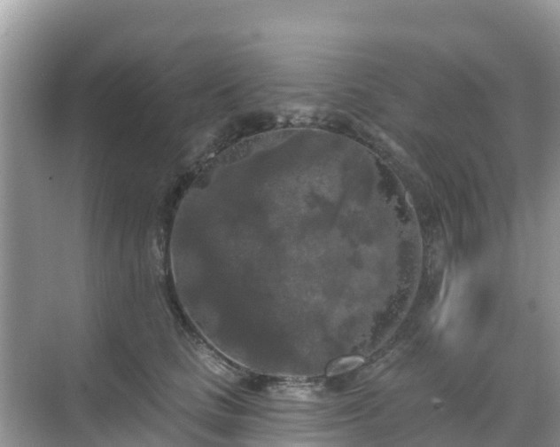 X0000068770661200605051633