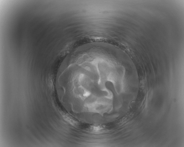 X0000068770662200605051633