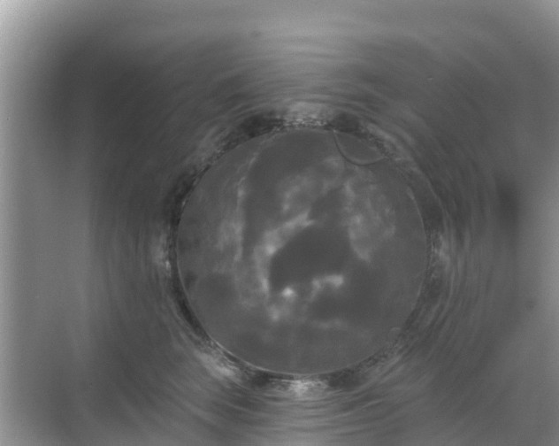 X0000068770663200605051633