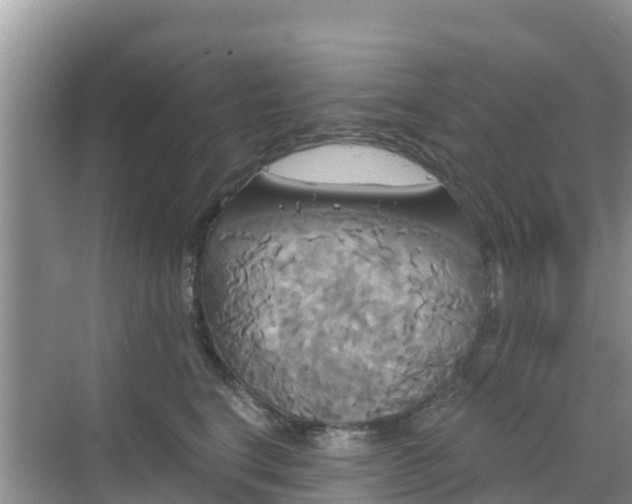 X0000068770664200605051633