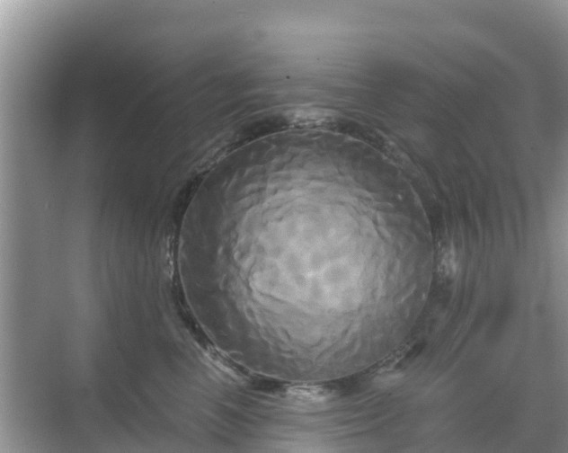 X0000068770666200605051633