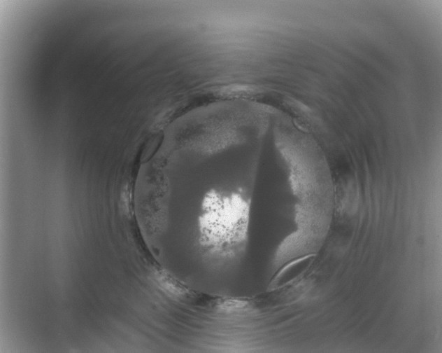 X0000068770669200605051633