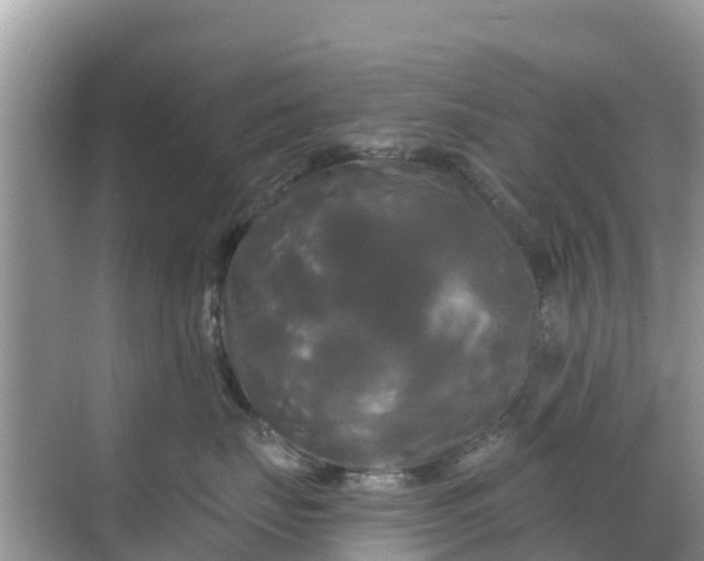 X0000068770671200605051633