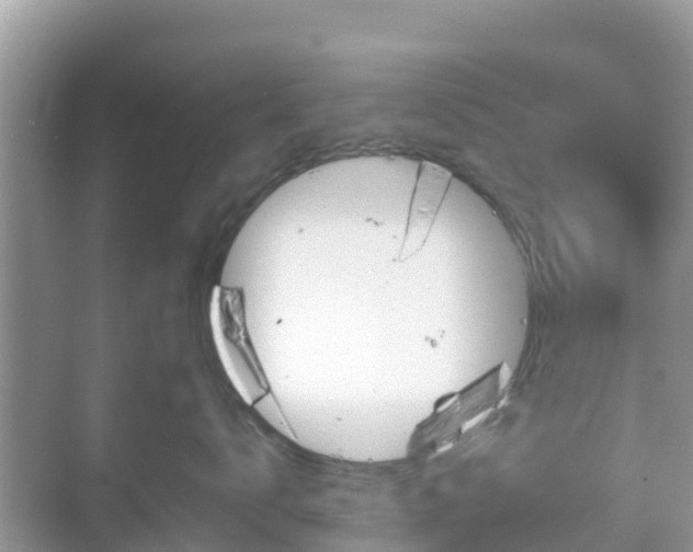 X0000068770672200605051633