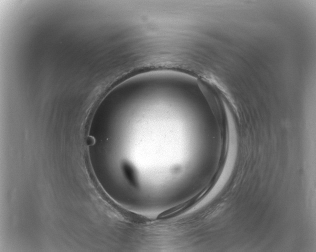 X0000068770673200605051632