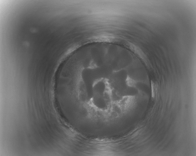 X0000068770675200605051632