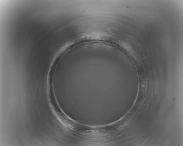 X0000068770678200605051632