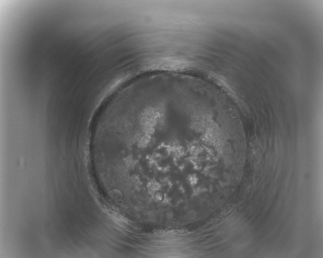 X0000068770679200605051632