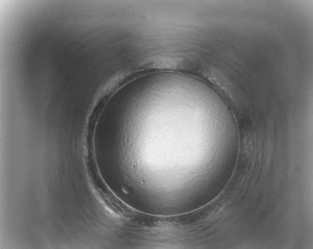 X0000068770682200605051632