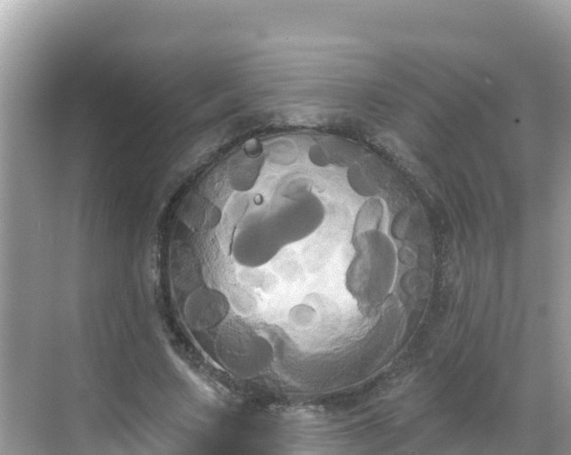 X0000068770683200605051632