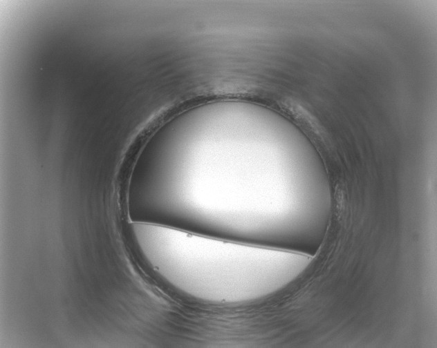 X0000068770684200605051632